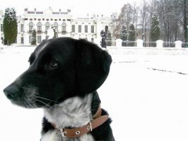 У нас 13 лет прожил пёсик Альф, названный в честь этого мультгероя.