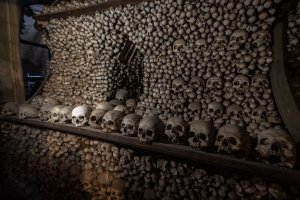 Буквально на днях побывал в Кутна-Гора, в Костёле Всех Святых. Люстра там зачетная.
Фото конечно мои.