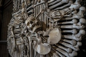 Буквально на днях побывал в Кутна-Гора, в Костёле Всех Святых. Люстра там зачетная.
Фото конечно мои.