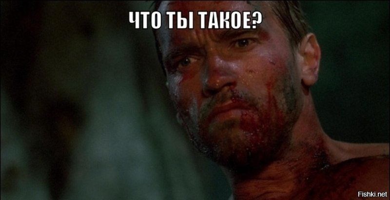 это кто