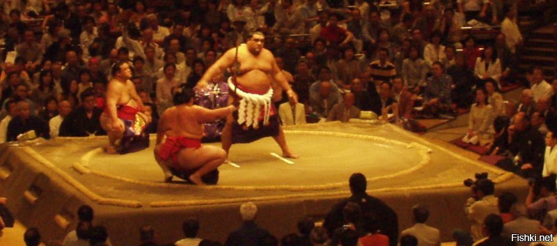 Ёкодзуна Мусасимару в той воскресной схватке победил.