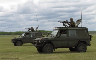 Черная пантера: погоня за нетрезвой девушкой