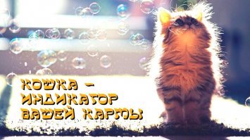 ахахахахаххахаха