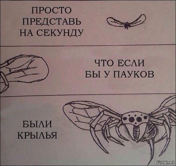 на паутинках....
пф...