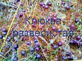 Блин! Сам первый раз увидел