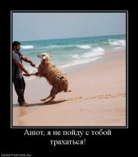 Намешалось