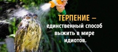 Ждем отдельной статьи и том, как избежать стрессов в повседневной жизни!