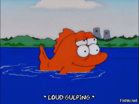 Аквариумная рыбка- Оранда черная