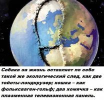 Бесполезные факты 