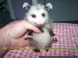 Прикольные картинки