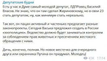 Даешь зоополицию: в Госдуме озаботились безопасностью животных