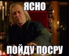 Прокуратура отменила концерты Монеточки, Элджея и других "топовых" исполнителей