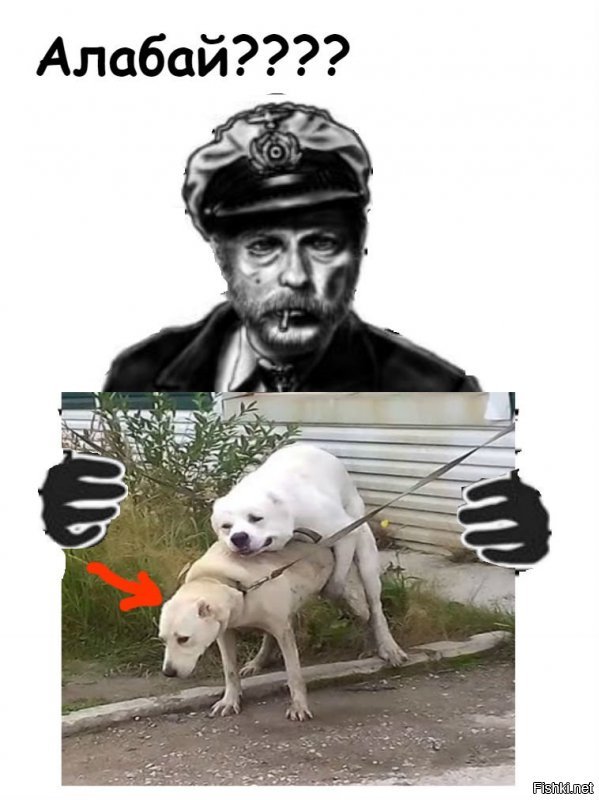 ))