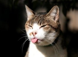 напугал,дурачок!