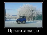 Прикольные комментарии и высказывания из сети