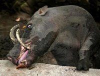 Она и сейчас есть...