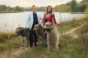 У актера Василия Бочкарева было до недавнего времени сразу 3 волкодава)