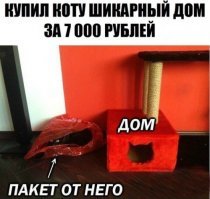 Картинки с надписями для настроения