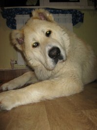 Не могу не поставить плюсик этому посту))))