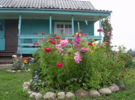 "Представитель Минэкономразвития РФ рассказал, что вместо девяти организационно-правовых форм с 1 января 2019 года останутся всего две: садоводческая и огородническая, причем все они превратятся в товарищества. "                                                                              
=================================================================================
                                                                                                                                                        
А если это будет такой дачный участок ,он будет приравниваться к садоводческому или огородническому товариществу,,,,