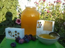 Хранители человечества