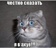 Дачники в России доживают последние два месяца