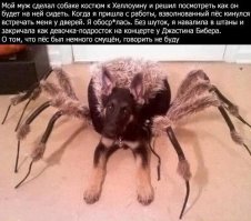 Студентка купила эффектный костюм к Хэллоуину и решила напугать незнакомцев