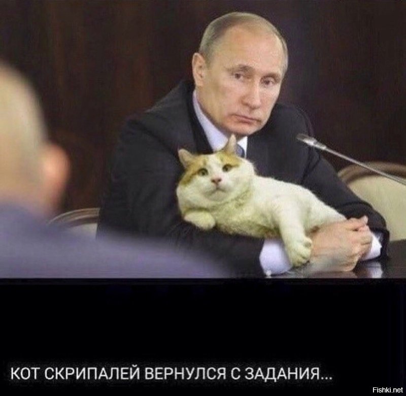 Политические коментарии соцстей - 628
