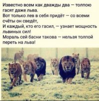 8 гопников с ножами решили забрать айфон у парня, а тот оказался бойцом ММА
