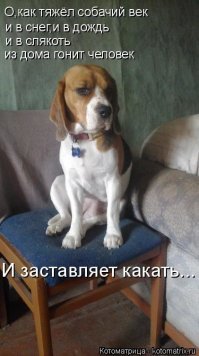 Картинки с надписями