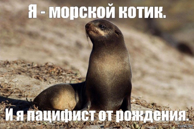 Солянка от 02.11.2018