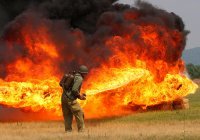 Вариантов немного...Нафото Ты.