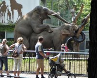 Да зоопарки вообще пора закрыть - там не только мясо едят, там вообще такие вакханалии устраивают, что уму не постижимо!

А ещё лучше поставить там фейс контроль, который будет отсекать яжематерей ещё на входе.