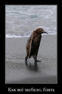 Несколькими часами ранее