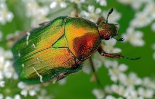 Подборка автомобильных приколов