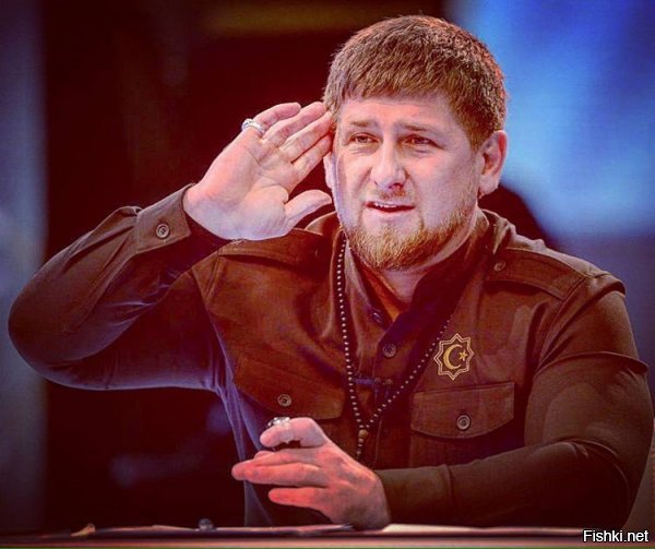 Свой адрес скажи!
