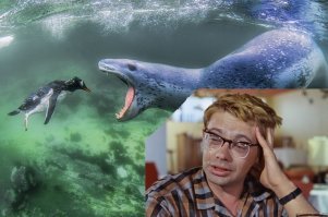 Классные фотки!