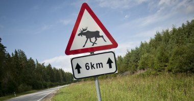 это просто дорожные знаки были , типа