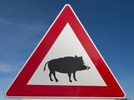 это просто дорожные знаки были , типа