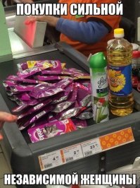 Кошачьи демотиваторы