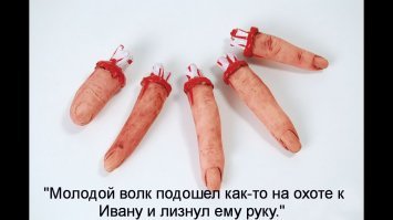 Волгоградец приютил у себя дома волка из Астраханской области