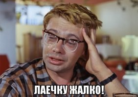 Полет и гибель собаки Лайки: вопросы и ответы