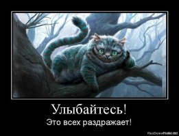 Кошачьи демотиваторы