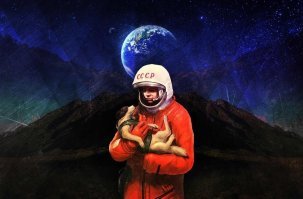 Полет и гибель собаки Лайки: вопросы и ответы