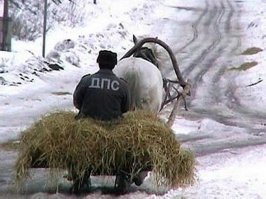 Нифига. Не служила она тогда в милиции
