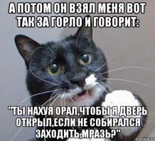 Кошачьи демотиваторы