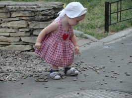 Претенденты на победу в конкурсе Smithsonian Photo Contest 2018