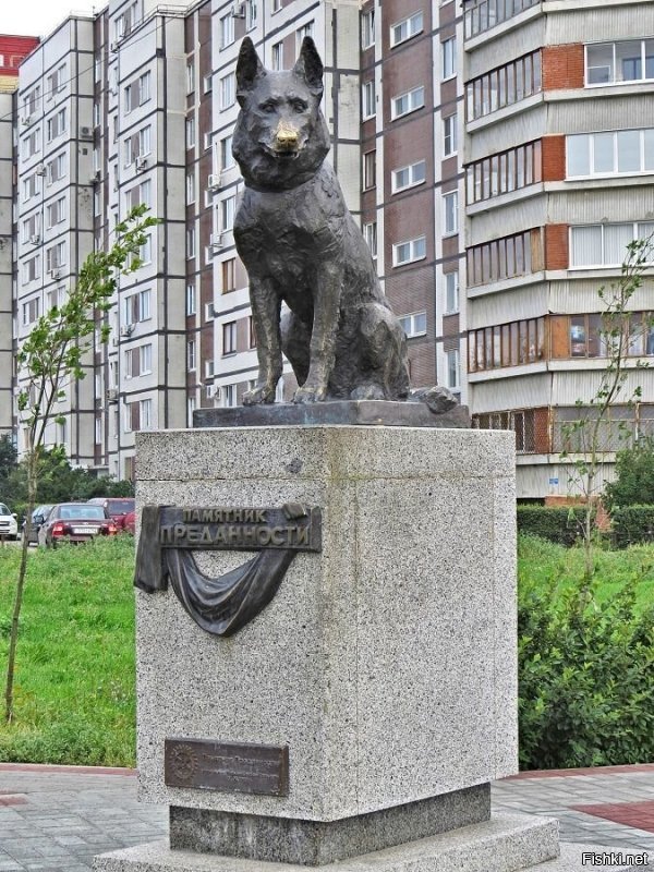 Вообще то, у Тольятти давно подобный памятник стоит, псу Верному, даже песня есть о нём. Найду, выложу.