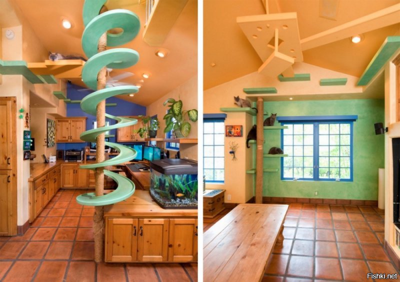 Кухня. Заядлый кошатник из Америки реконструировал свой дом в самый настоящий кошачий рай.