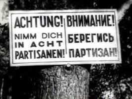 Клин Шавгулидзе